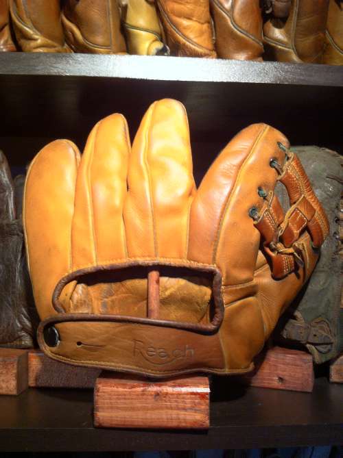 Bruce Campbell Reach 228 Back