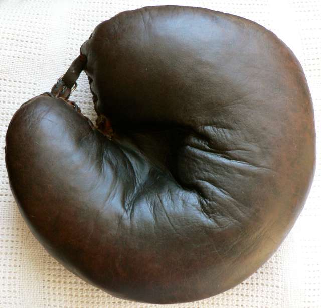 A.J. Reach 32 Molded Special Front