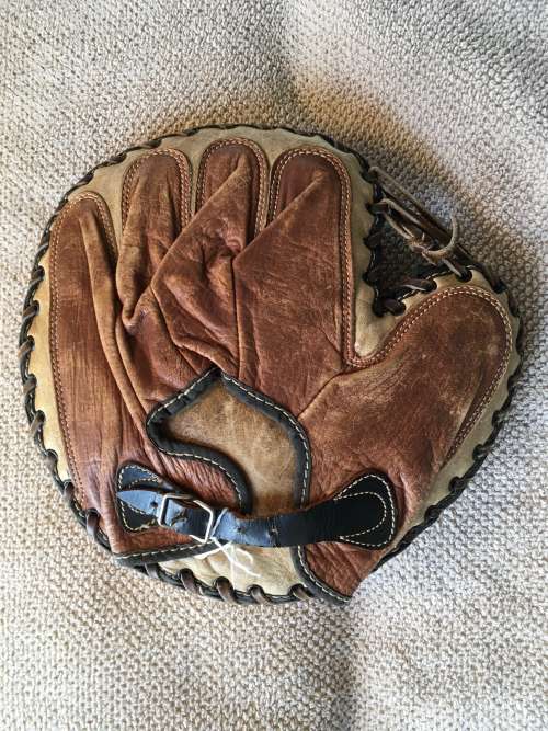 Reach 150 Catchers Mitt Back