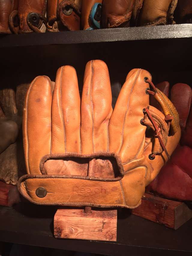 Reach 242 Professional Model Back