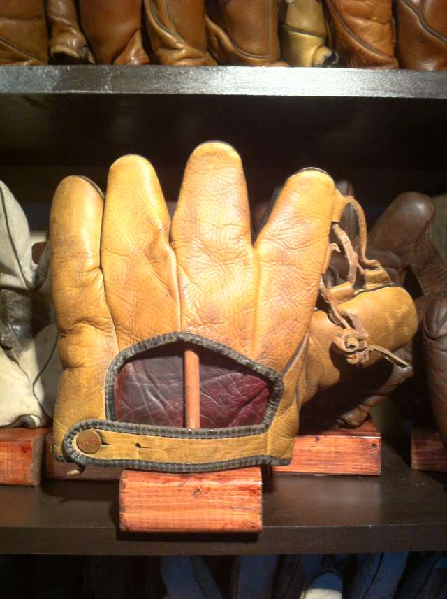 Reach Professional Back