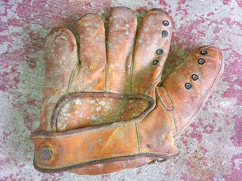 Ripon Glove Back