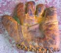 View the image: Ripon Glove Front