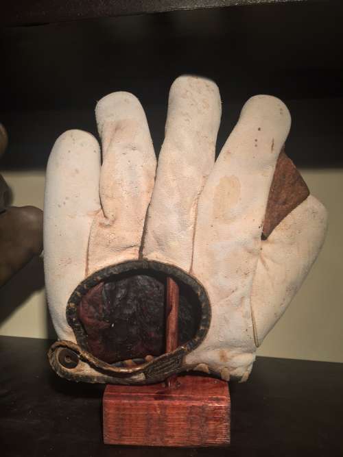 Schmelzers Full Web White Back