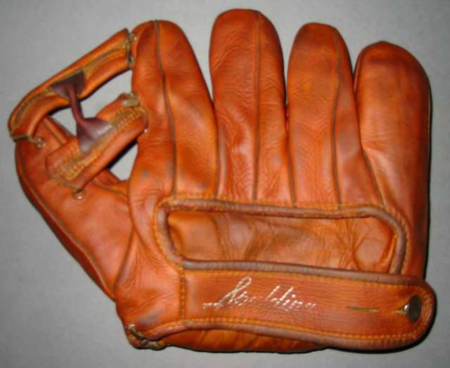 Spalding Hawk Back