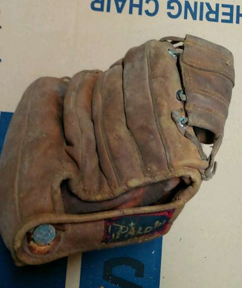 Al Dark Spalding 1135 Back