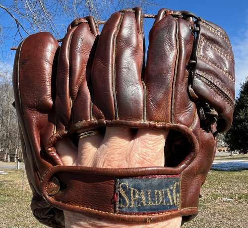 Al Dark Spalding Back