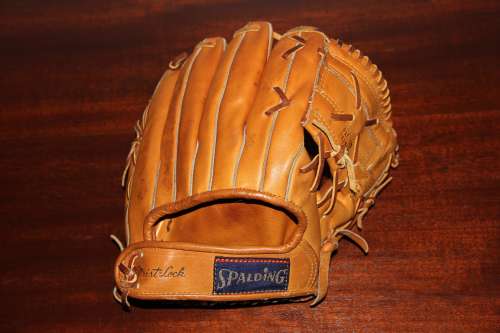Rico Petrocelli Spalding 42-515 Personal Model Back
