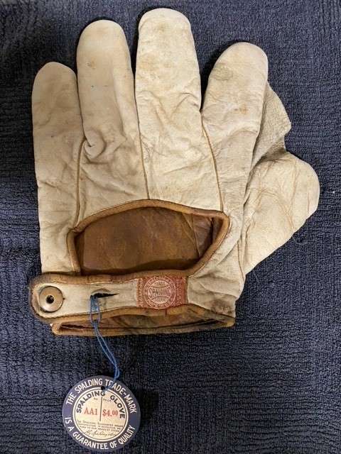 Spalding AA1 World Series Full Web Back