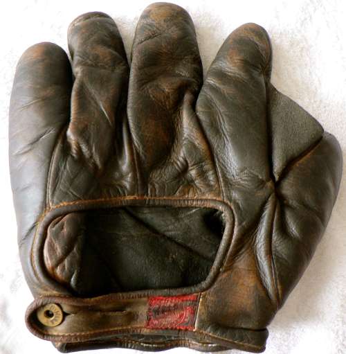 Spalding Full Web Back