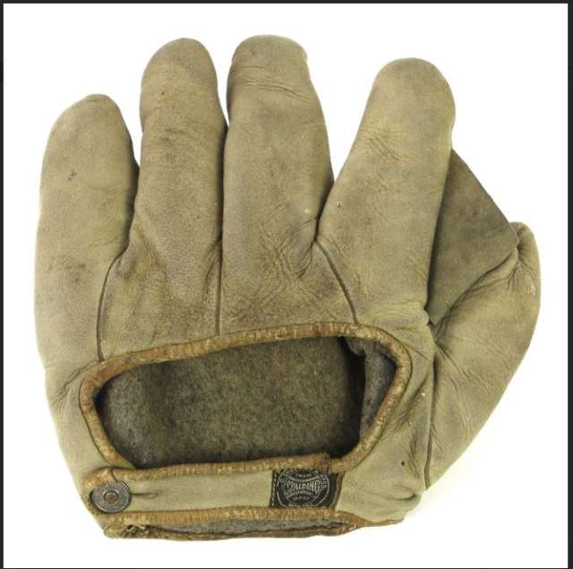 Spalding Full Web Back