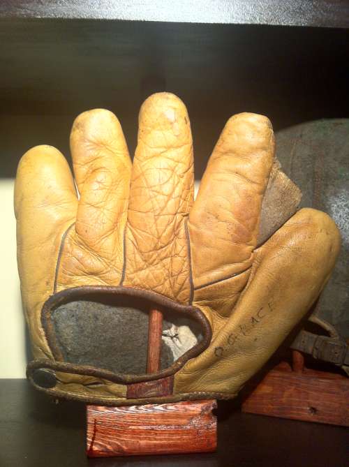 Spalding Full Web Brown Back