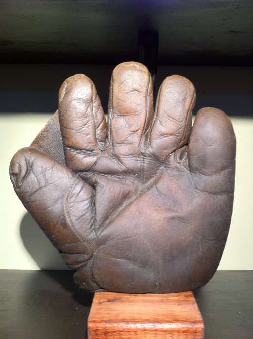 Spalding Full Web Brown Front