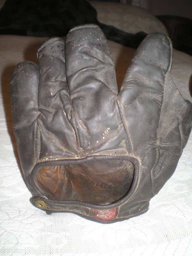 Spalding Full Web Dark Brown Back