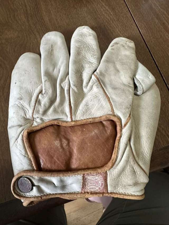 Spalding PXL 1 Inch Web Back