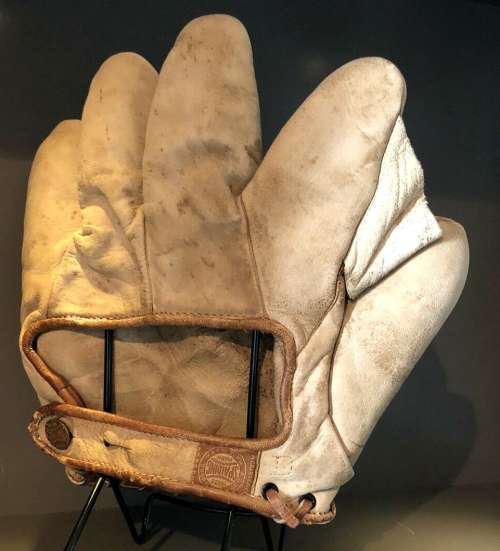 Spalding XSL Full Web Back