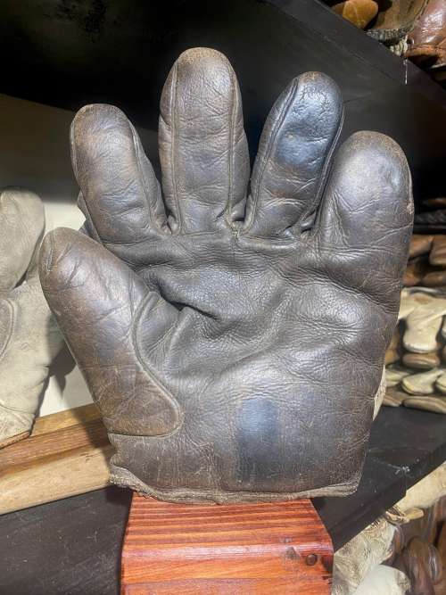 Victor Buckle Back Full Web Front