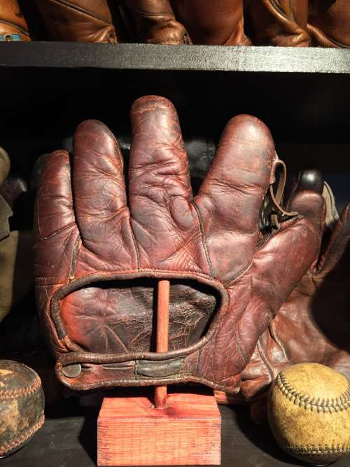Walter Johnson D&M Back