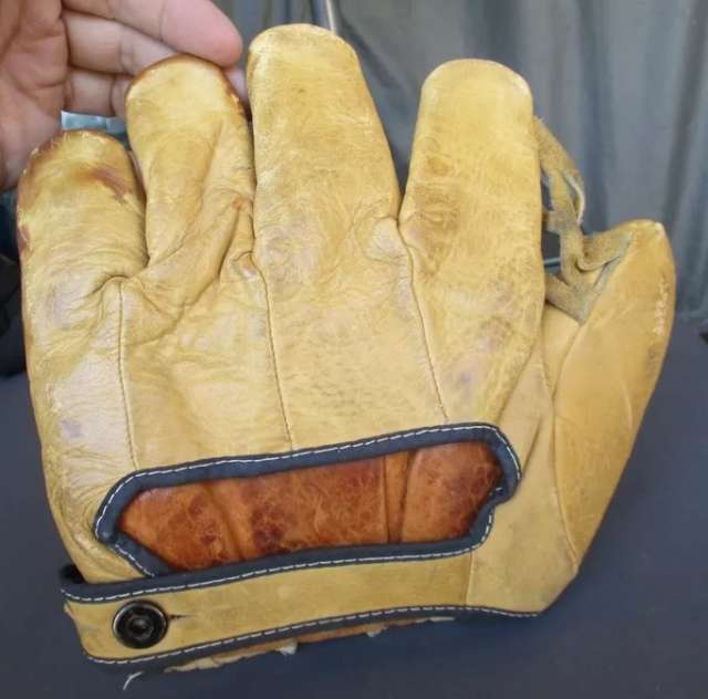 Walter Johnson Goldsmith JG12 Back