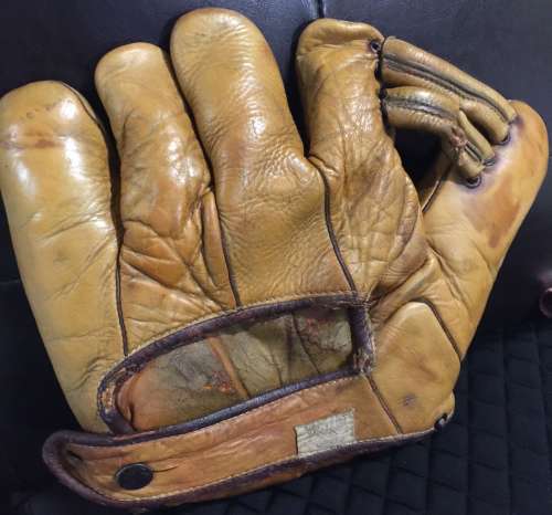 Walter Johnson Victor Back