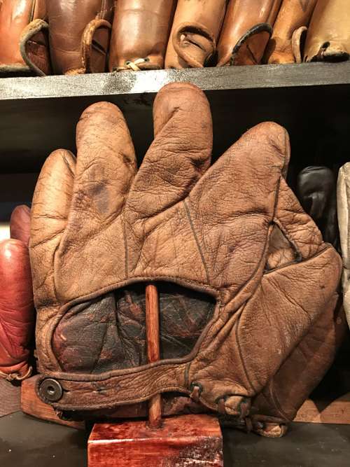 Wichita 1 Inch Web Back