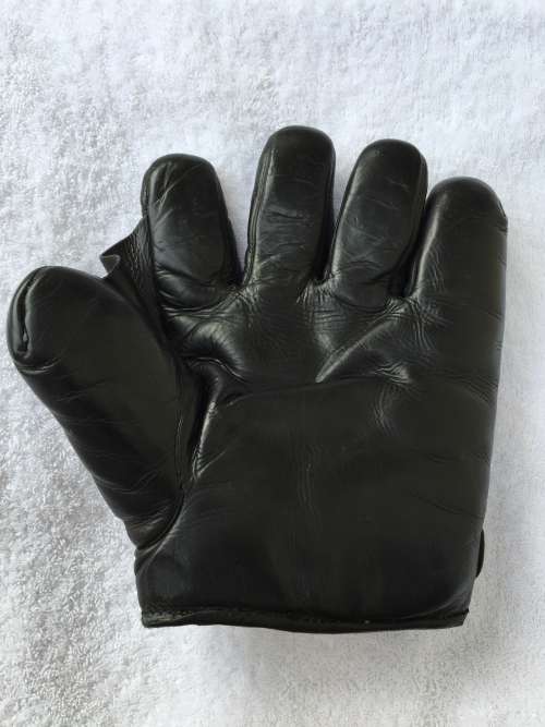 William Read & Sons Full Web Black Front