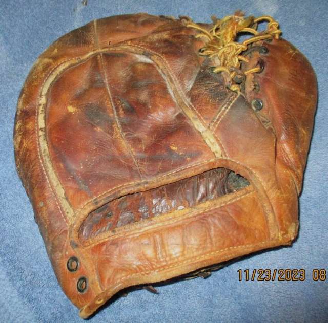 Wilson Basemitt Back