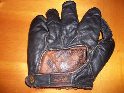 Thomas E. Wilson 607 1 Inch Web Back