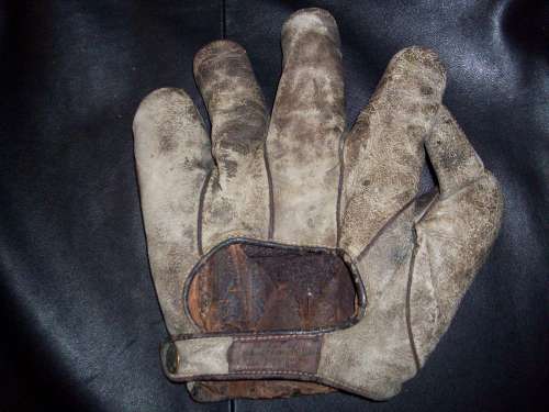 Thomas E. Wilson 610 1 Inch Web Back