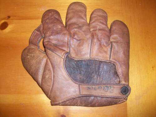 Thomas E. Wilson 630X Back