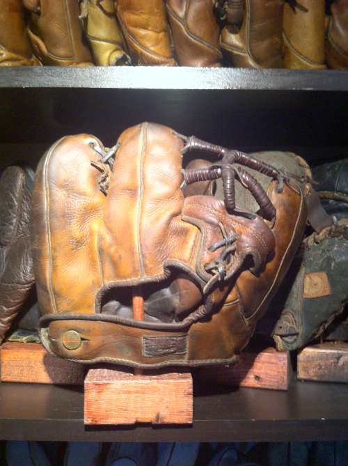 Wilson 607L Ball Hawk Back