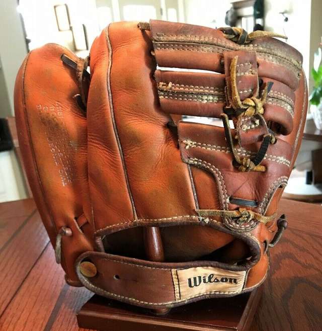 Wilson A2020 Back