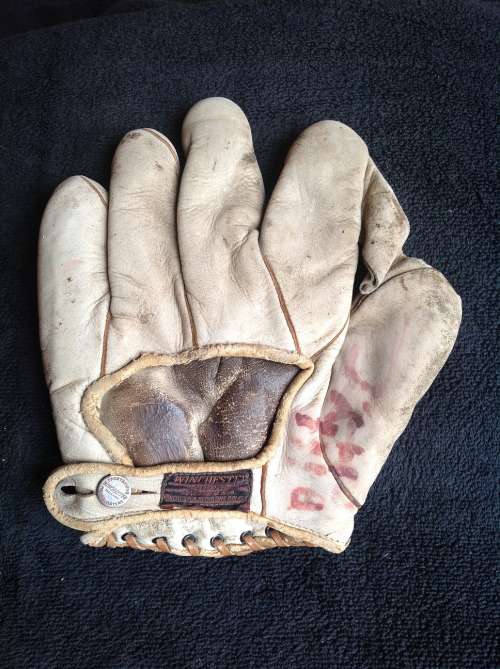 Winchester 1 Inch Web Back