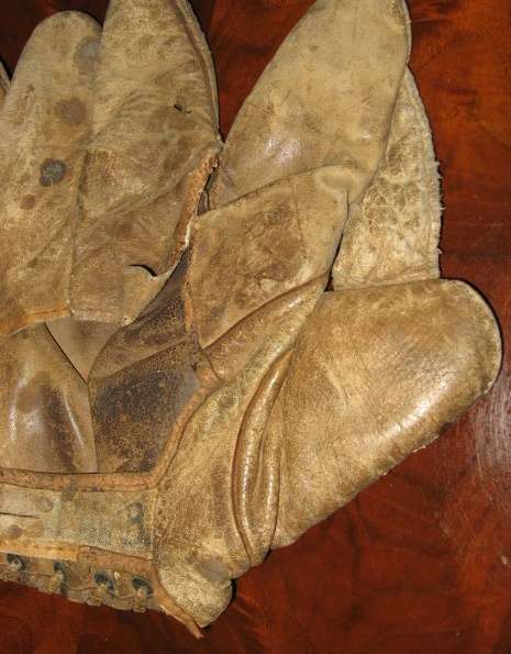 Winchester 8150 1 Inch Web Back