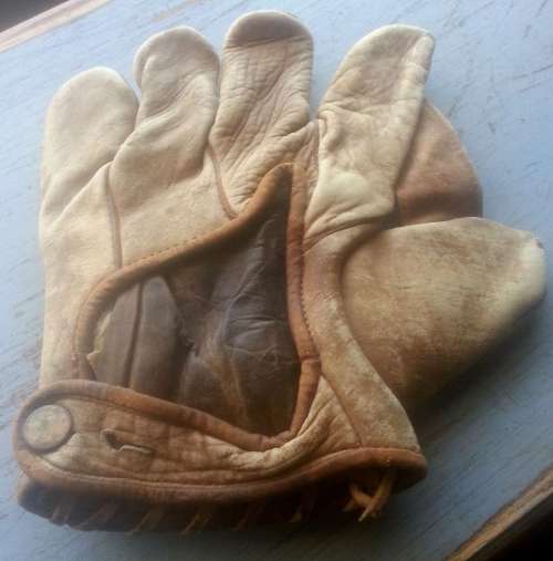 Winchester 8150 1 Inch Web Back