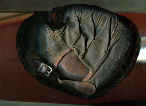 Winchester Catchers Mitt Lefty Back