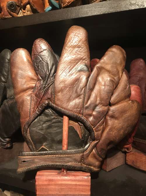 Winchester Full Web Brown Back