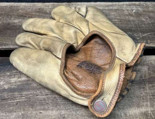 Winchester Special 1 Inch Web Back