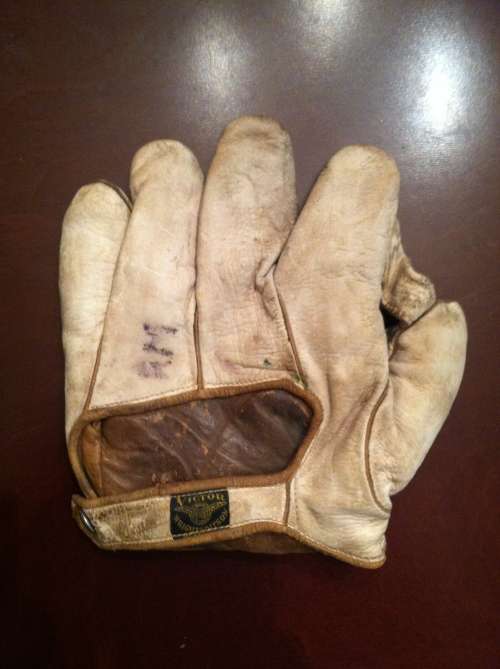 Victor, Wright & Ditson 1 Inch Web Light Back