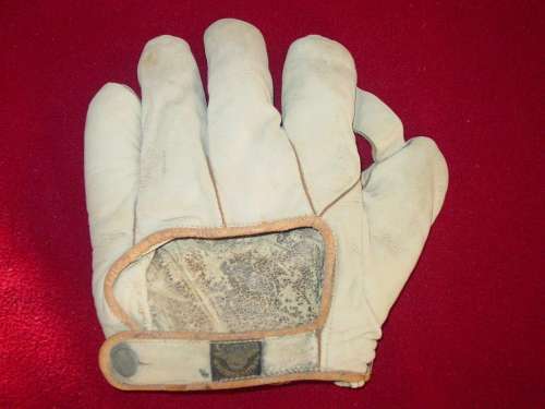 Victor, Wright & Ditson 1 Inch Web White Back