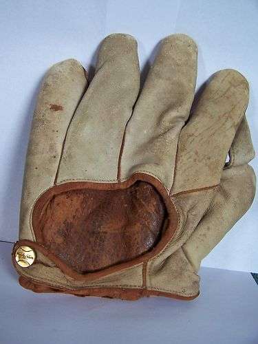 Victor, Wright & Ditson CS 1 Inch Web Back