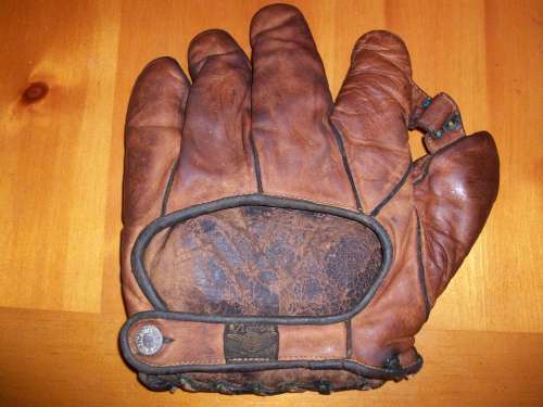 Victor, Wright & Ditson FDP 1 Inch Web Back