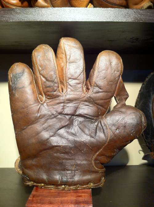 Victor, Wright & Ditson 1 Inch Web Brown Lefty Front