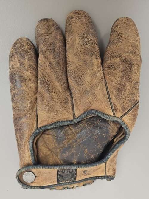 Wright & Ditson 1 Inch Web Back