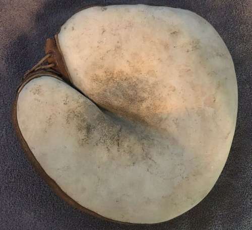 Wright & Ditson Catchers Mitt Front