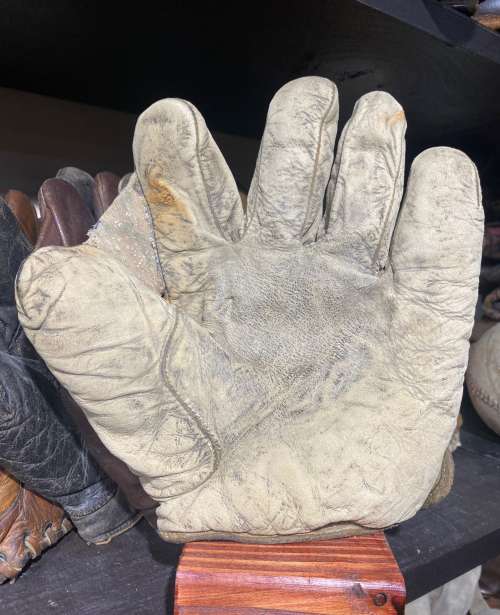 Wright & Ditson Full Web Front