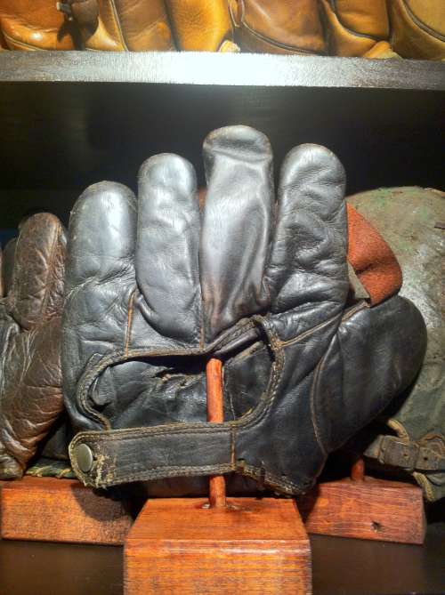 Dyas and Clein 1 Inch Web Back