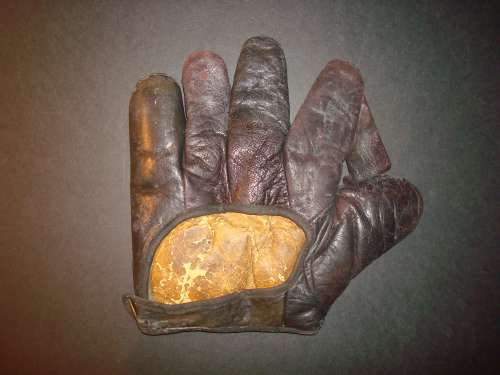 Fox D53 1 Inch Web Back