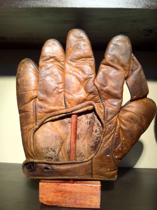 Triumph 1 Inch Web Back