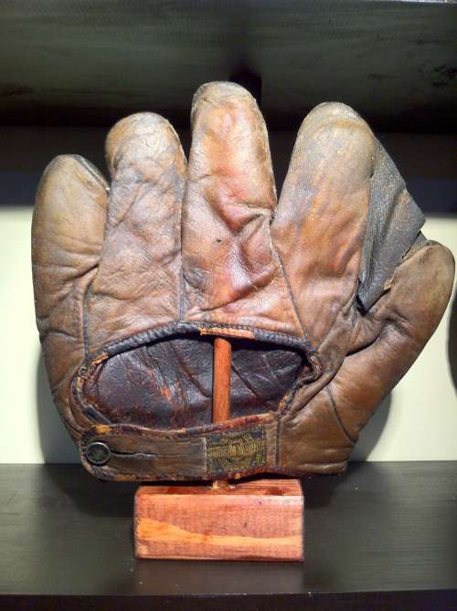 Alex Taylor Full Web Brown Back